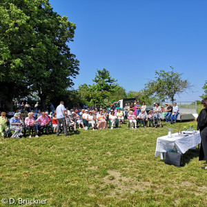 Gottesdienst im Weinberg